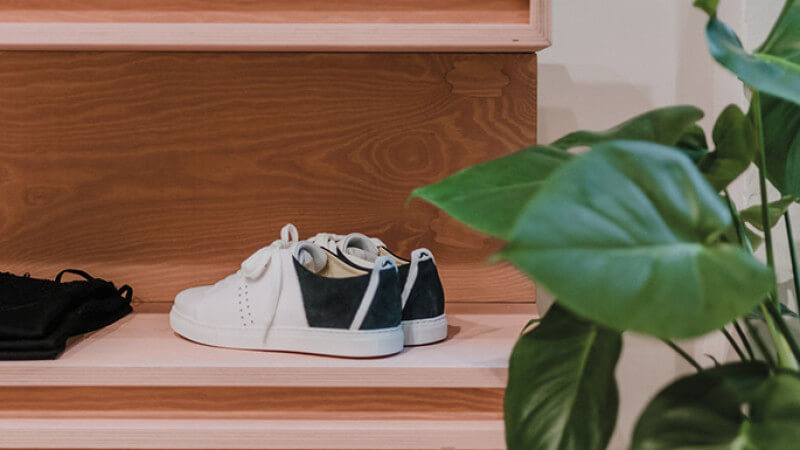 Shoes sitting on a pink stair step with a plant in the foreground.