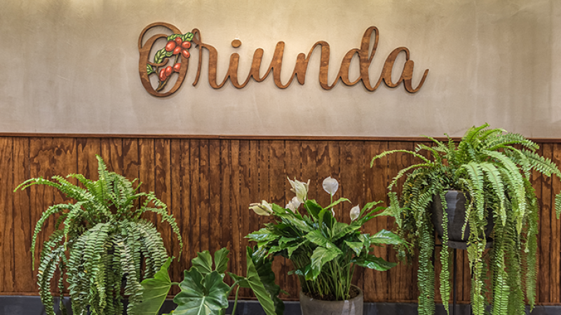 Coffee bar Oriunda logo with green plants in front of it