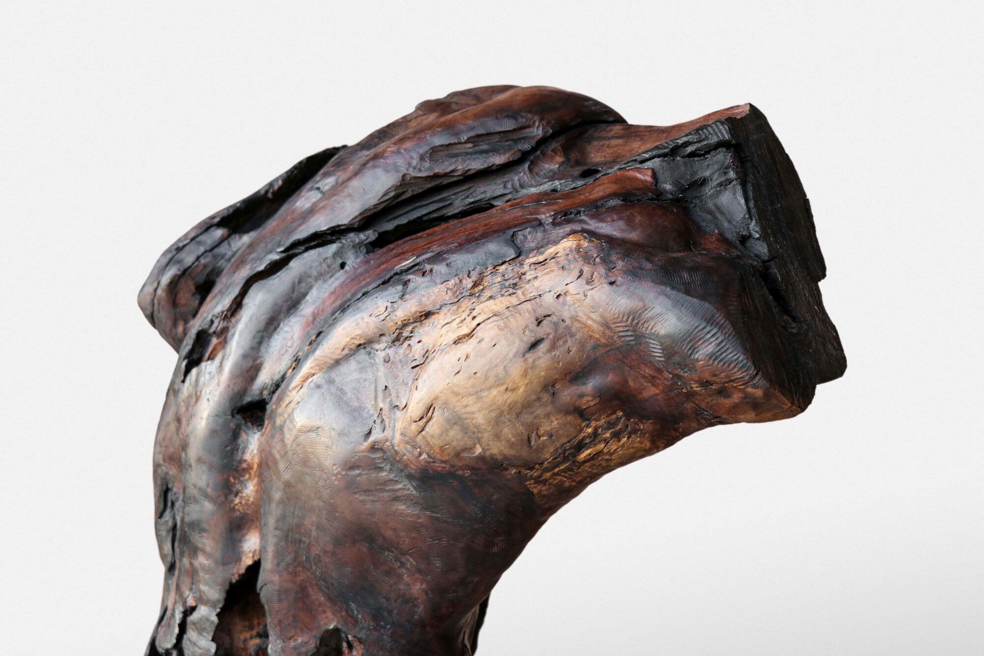 Wooden sculpture of a torso made from black walnut and finished with Rubio Monocoat.